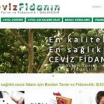 Web Sitesi Tasarımı