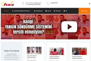Fenixyangin-priletisim-websitesi | Web Sitesi Tasarımı
