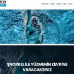 Web Sitesi Tasarımı